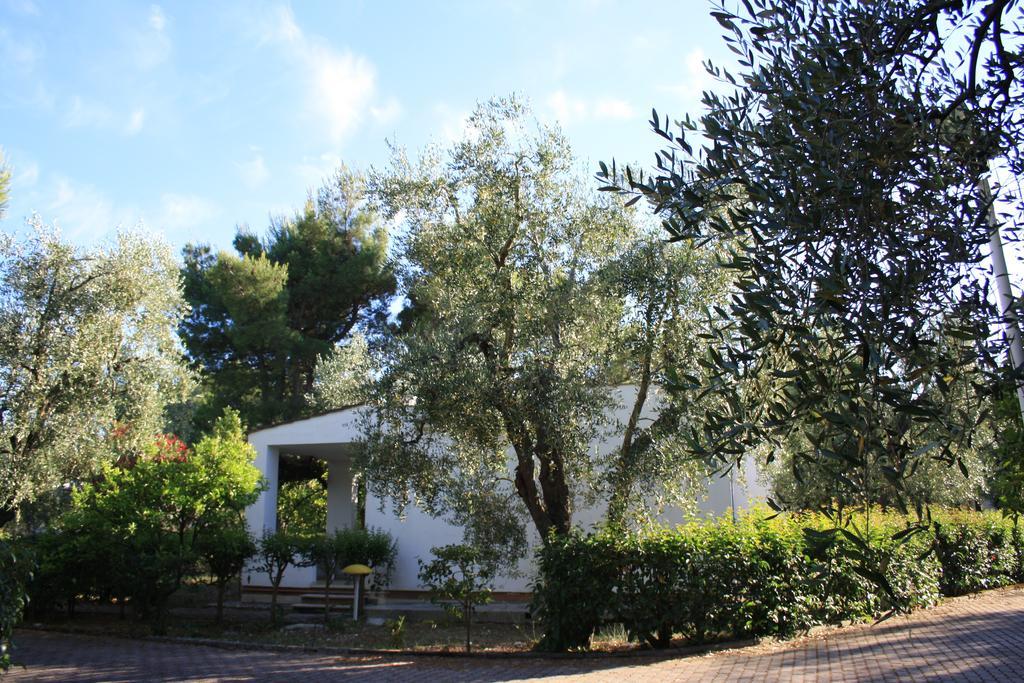 Villaggio Turistico Residence Delfino Весте Екстериор снимка