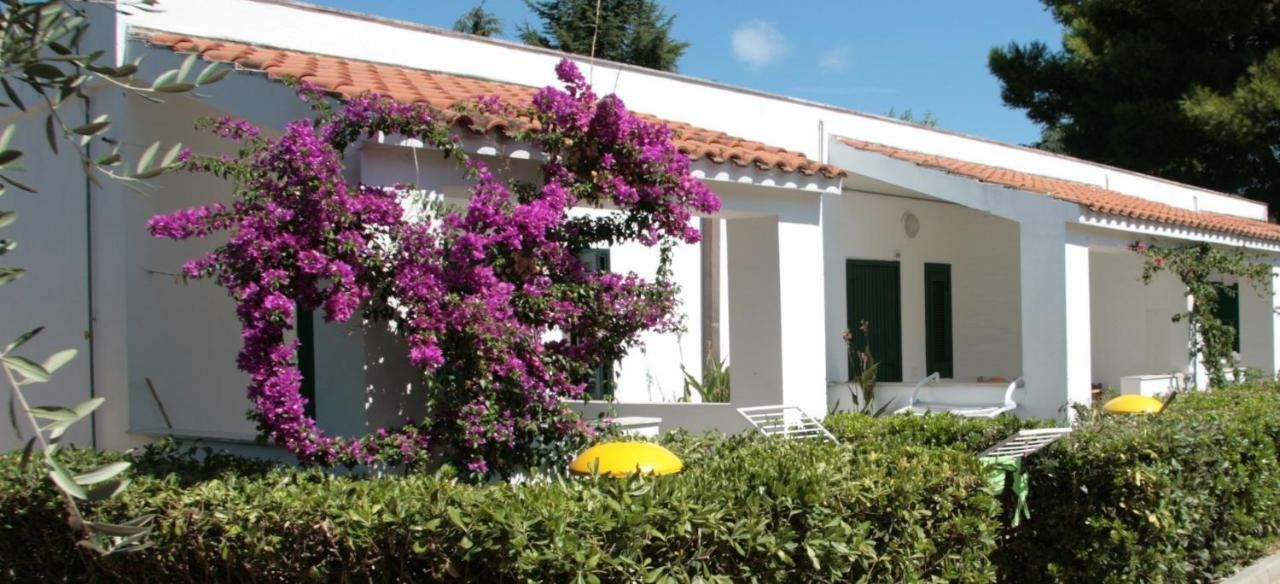 Villaggio Turistico Residence Delfino Весте Екстериор снимка
